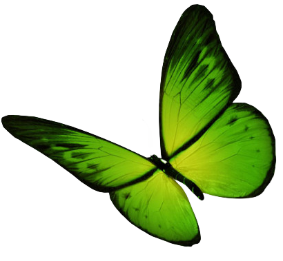 925 魔域发布网 - 游戏截图